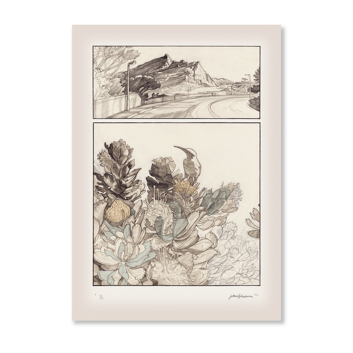 KS7 - Kaapstad Studies