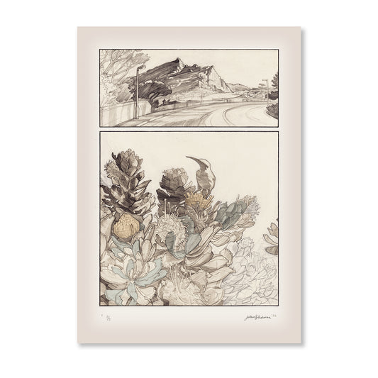 KS7 - Kaapstad Studies