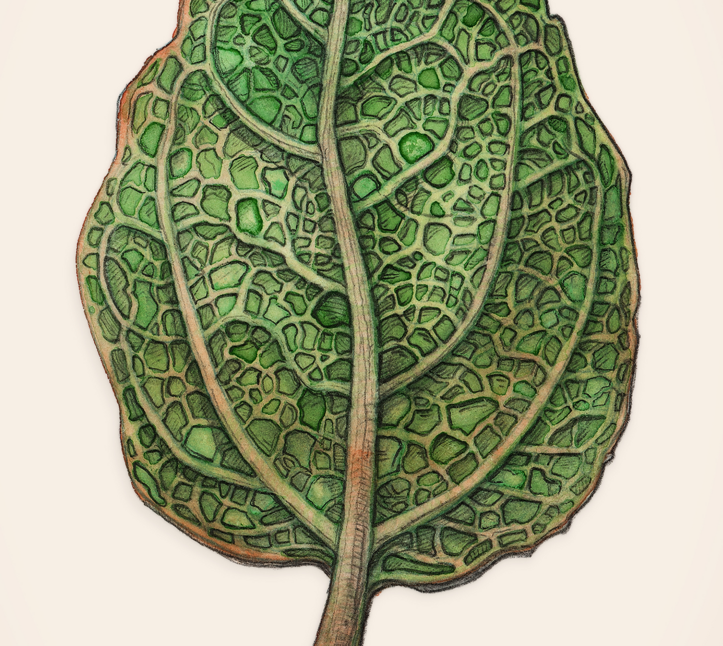 Green Leaf | A4 Print
