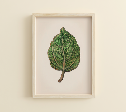 Green Leaf | A4 Print