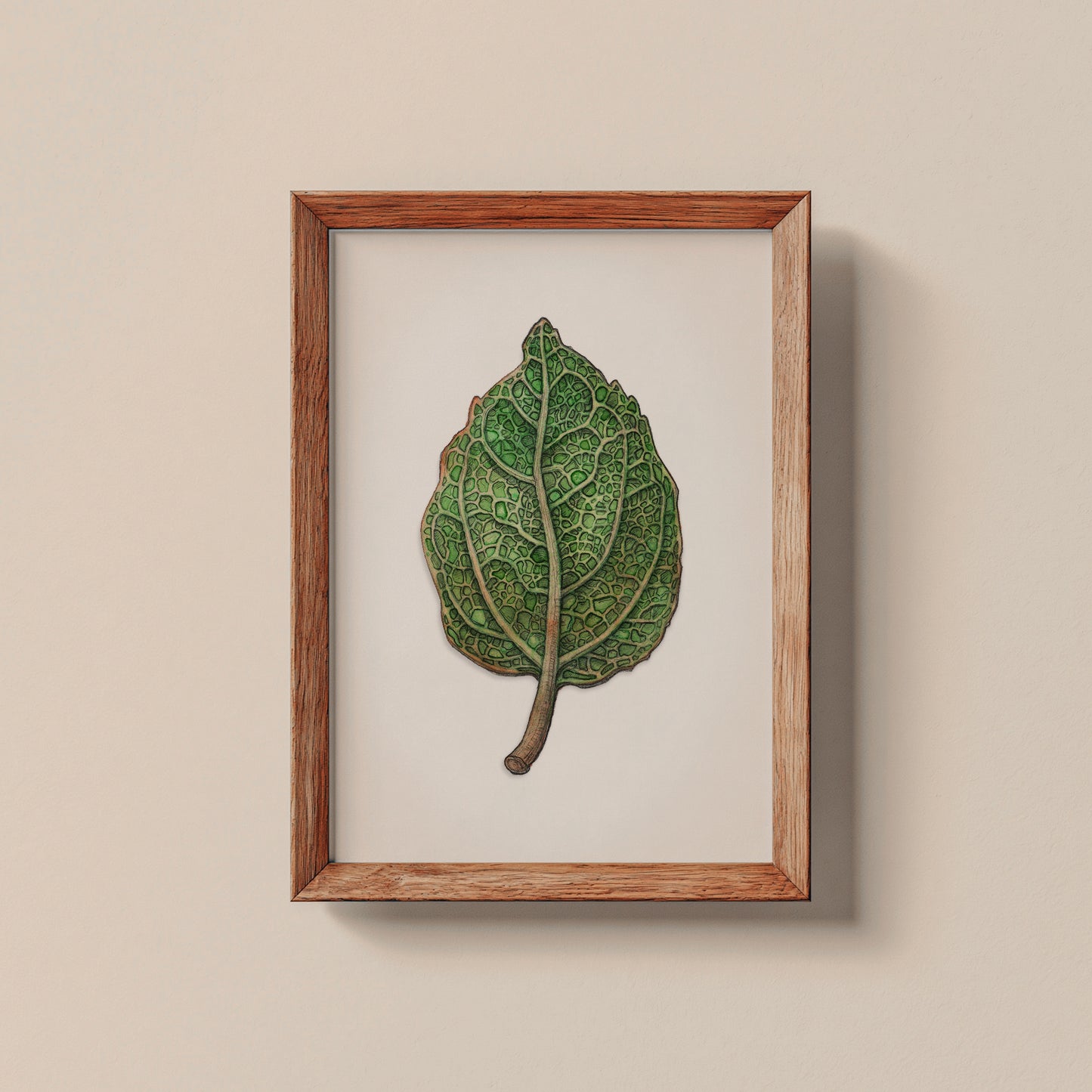 Green Leaf | A4 Print